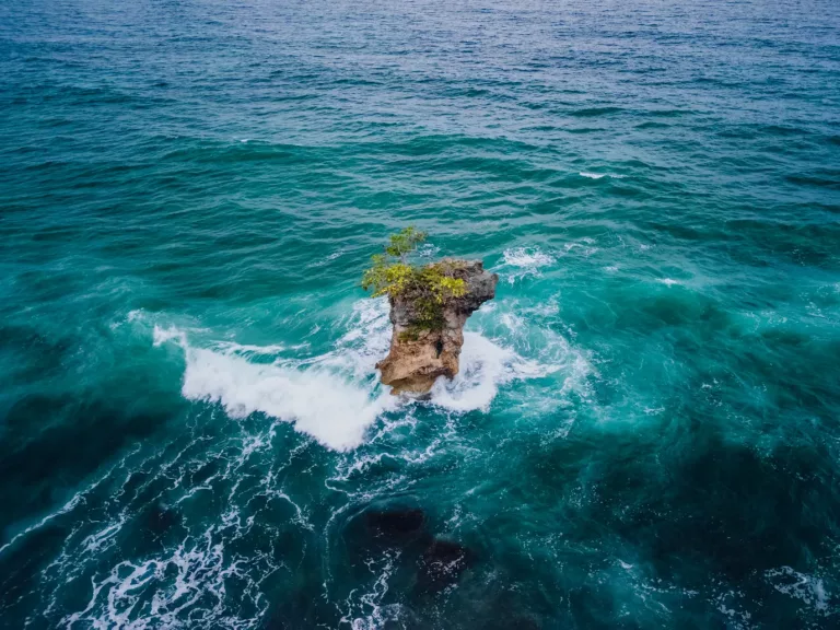 photo-1665855156169-64810d815557