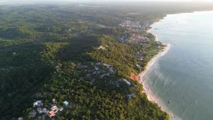 Journal 16 DJI 0319